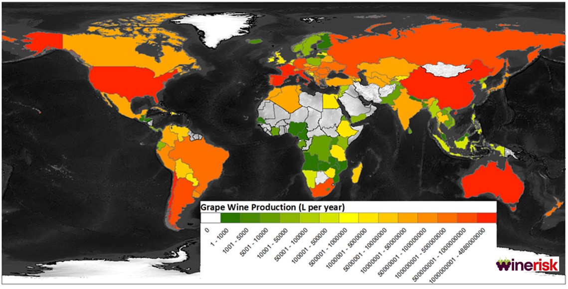 Global Wine Region Exposure
